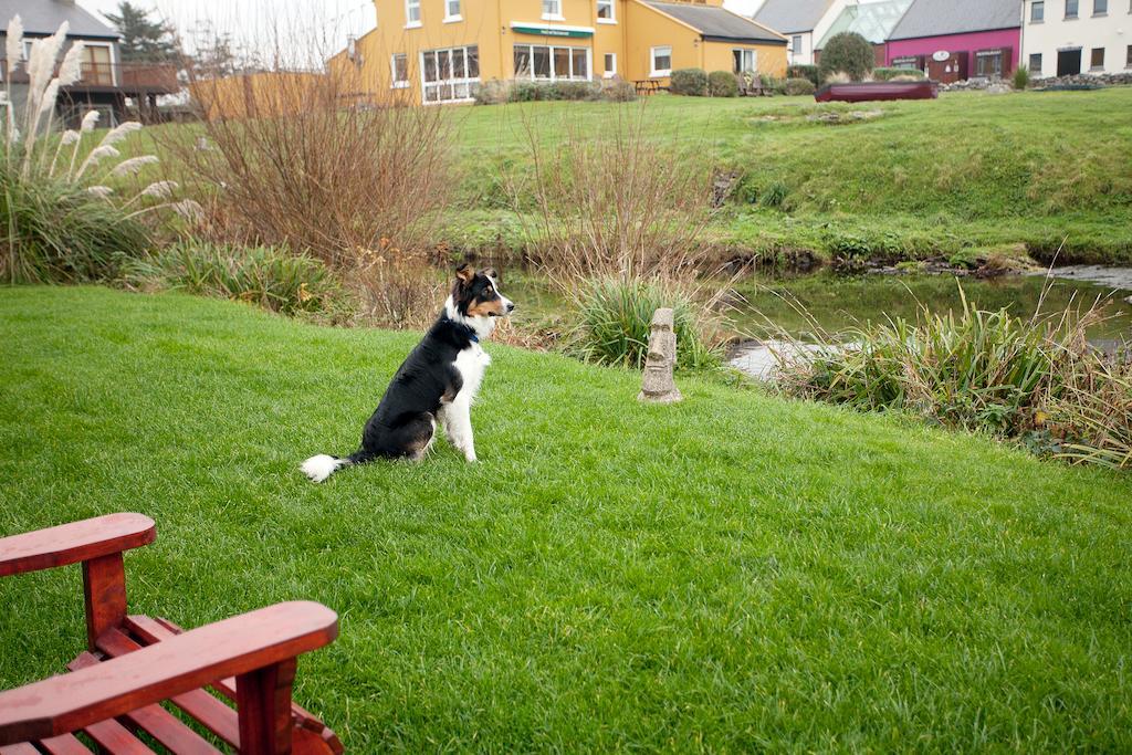 Aille River Tourist Hostel And Camping ドゥーリン エクステリア 写真
